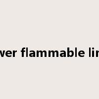 lower flammable limit是什么意思