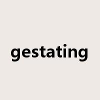 gestating是什么意思