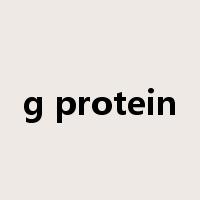 g protein是什么意思