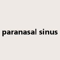 paranasal sinus是什么意思