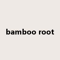 bamboo root是什么意思
