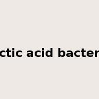lactic acid bacteria是什么意思