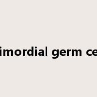 primordial germ cells是什么意思