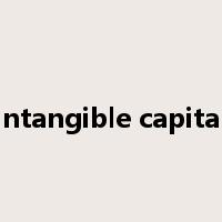 intangible capital是什么意思