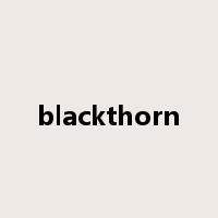 blackthorn是什么意思