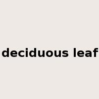 deciduous leaf是什么意思