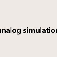 analog simulation是什么意思