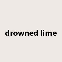 drowned lime是什么意思