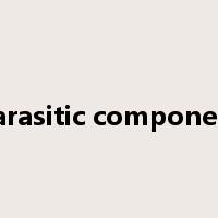 parasitic component是什么意思