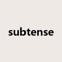 subtense是什么意思