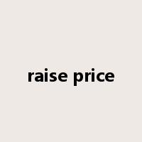 raise price是什么意思