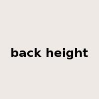 back height是什么意思