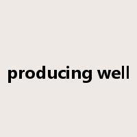 producing well是什么意思