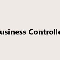 Business Controller是什么意思