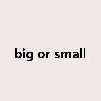 big or small是什么意思