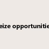 seize opportunities是什么意思