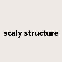 scaly structure是什么意思