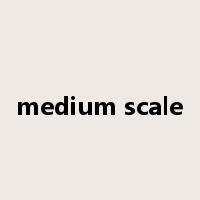 medium scale是什么意思