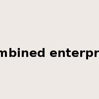 combined enterprise是什么意思