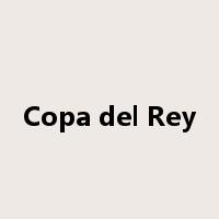 Copa del Rey是什么意思