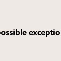 possible exception是什么意思