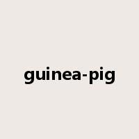 guinea-pig是什么意思