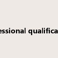 Professional qualifications是什么意思