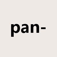pan-是什么意思