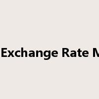 Currency & Exchange Rate Maintenance是什么意思