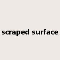 scraped surface是什么意思