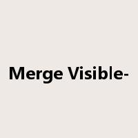 Merge Visible-是什么意思