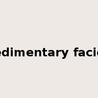 sedimentary facies是什么意思