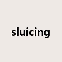 sluicing是什么意思