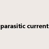 parasitic current是什么意思