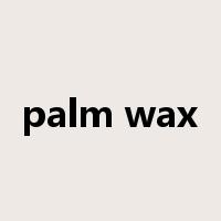 palm wax是什么意思