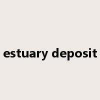 estuary deposit是什么意思