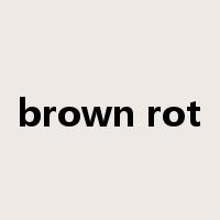 brown rot是什么意思