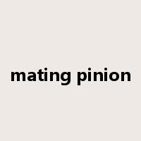mating pinion是什么意思