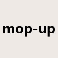 mop-up是什么意思