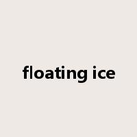floating ice是什么意思