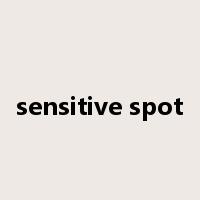 sensitive spot是什么意思