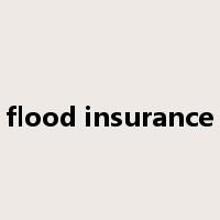 flood insurance是什么意思