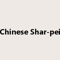 Chinese Shar-pei是什么意思