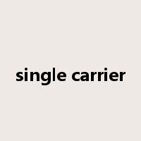 single carrier是什么意思