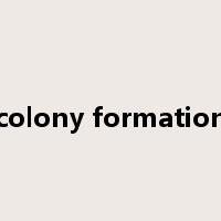 colony formation是什么意思