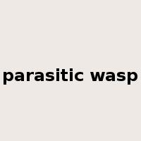 parasitic wasp是什么意思
