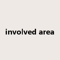 involved area是什么意思