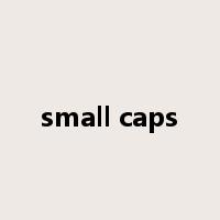 small caps是什么意思