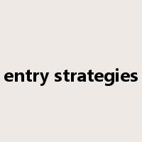 entry strategies是什么意思