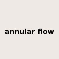 annular flow是什么意思